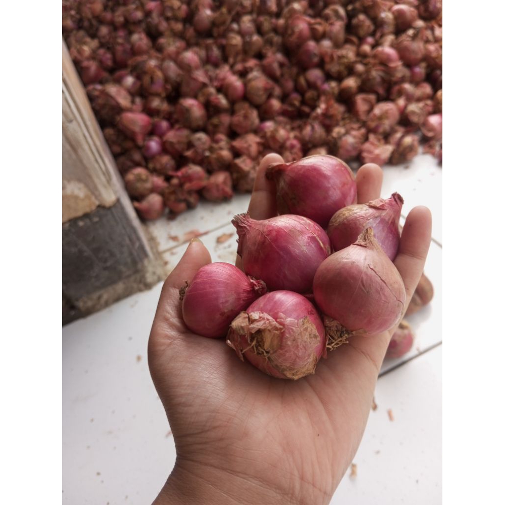 

bawang merah 1kg bima