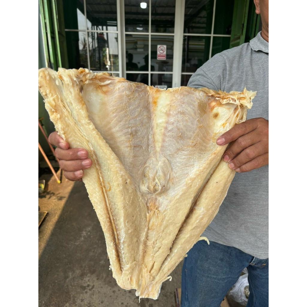 

Ikan Asin Jambal Roti Manyung 1000gr