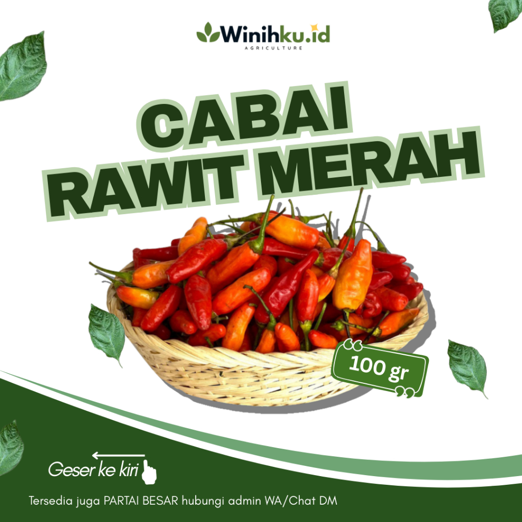 

Cabai Rawit Merah Segar 100gr | Cabai Pedas Asli Petani | Siap Masak & Kirim