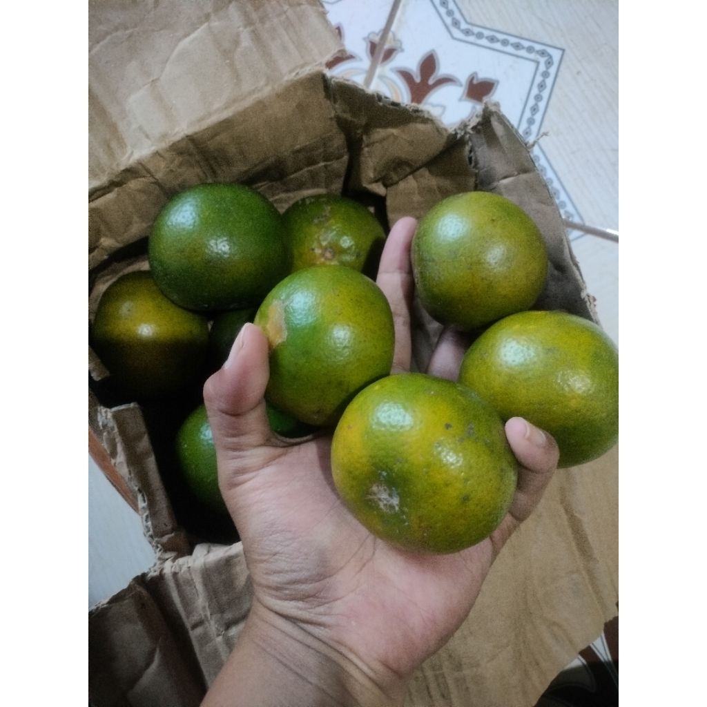 

jeruk Semboro 1 kg rasa jamin manis