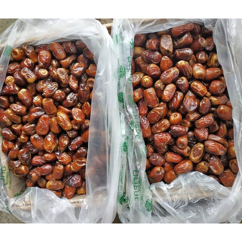 

Kurma Mesir Premium 10 kg / 5 kg | Kurma Mesir Golden Valley / Kurma mesir Saad Sweet and juicy Oleh oleh Haji Umrah