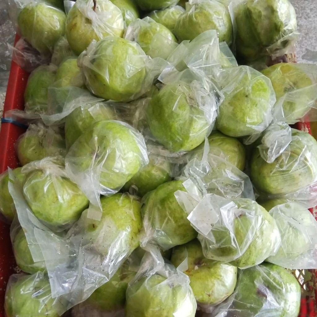 

Jambu Kristal Non Biji 3 KG