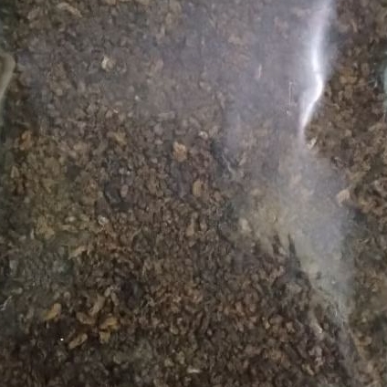 

Kupang jaya kupang kering berat 250gr