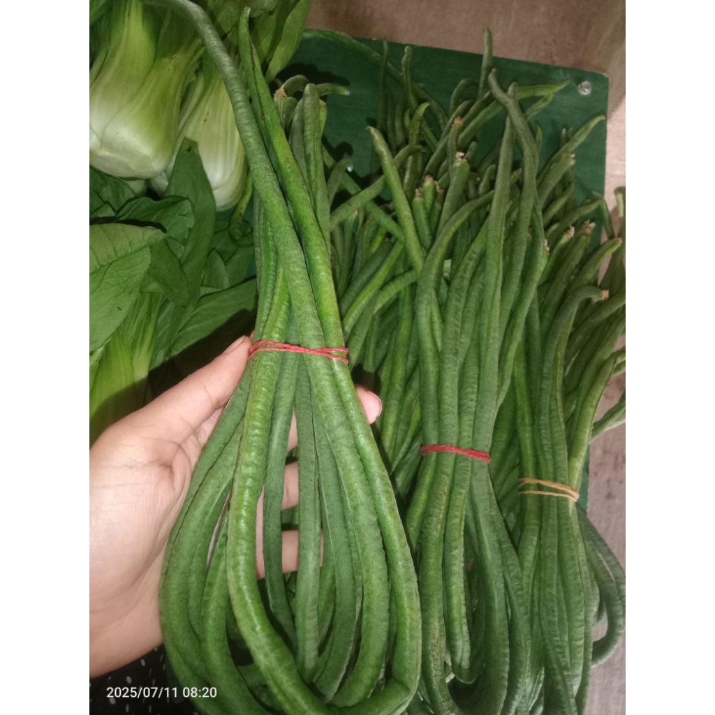 

KACANG PANJANG 1 IKAT/SMBB/Sayurmayurbpkbaum