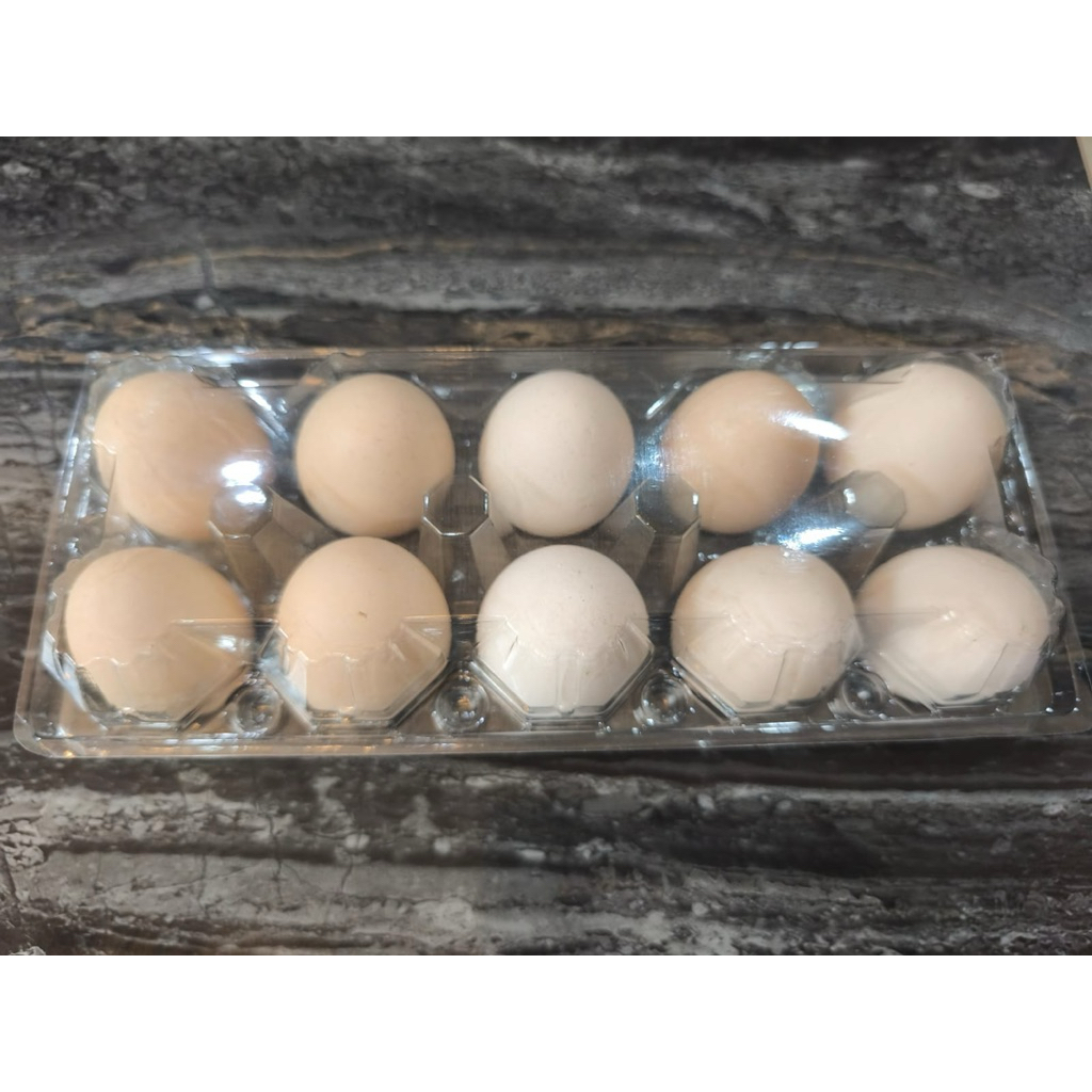 

Telur Ayam Kampung Asli - 10 pcs