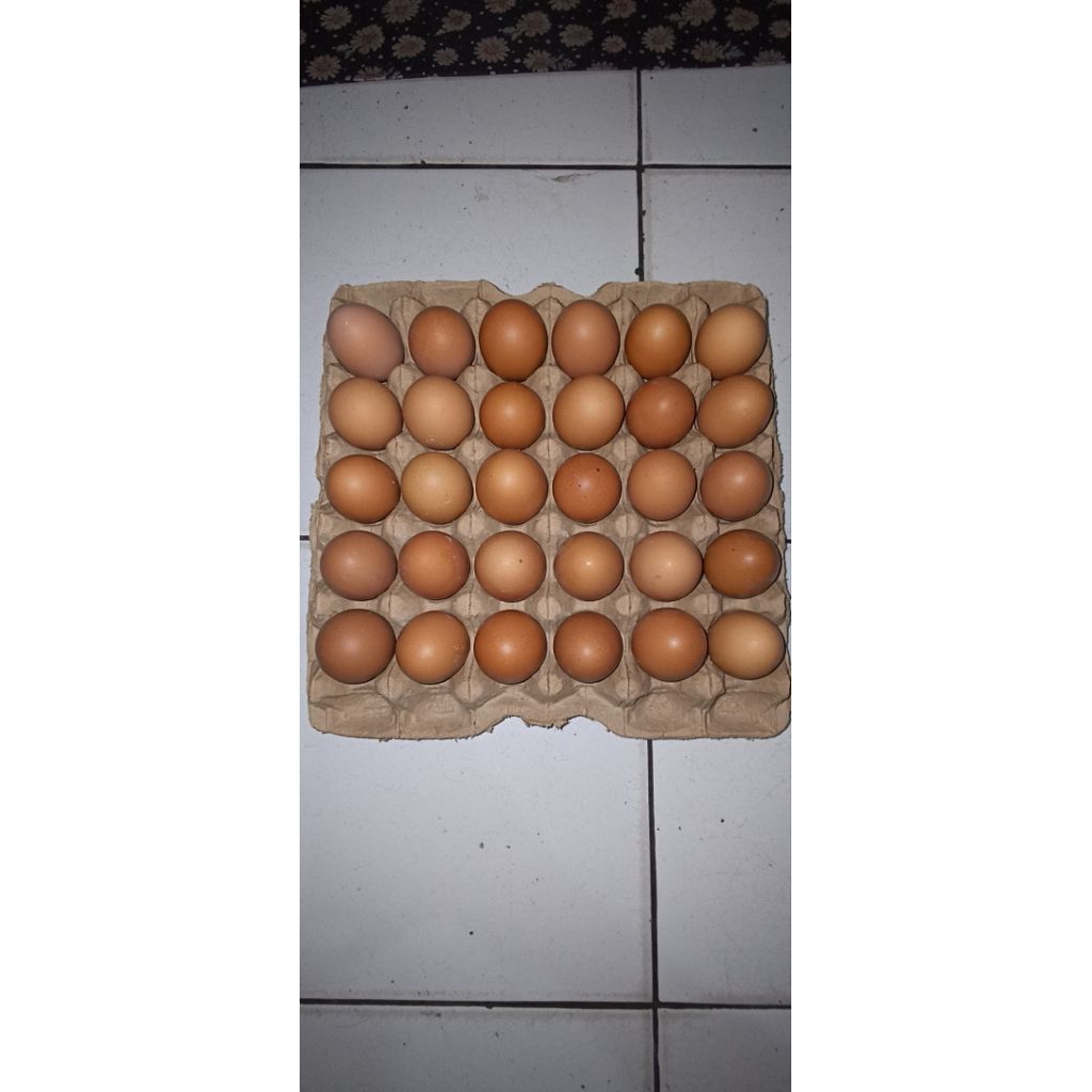 

Telor Ayam Negeri Omega 3 1 tray ( 30 Butir )