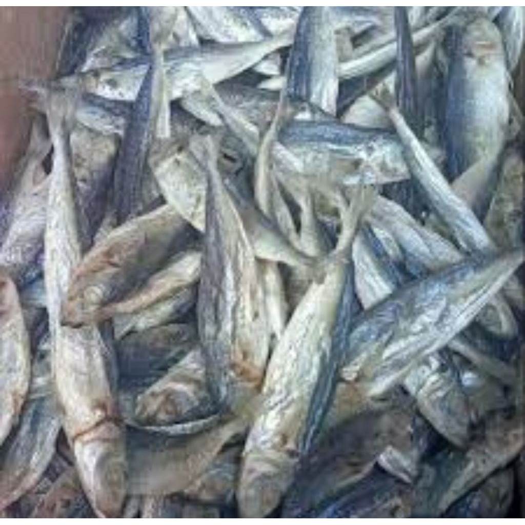 

IKAN ASIN DENCIS REBUS