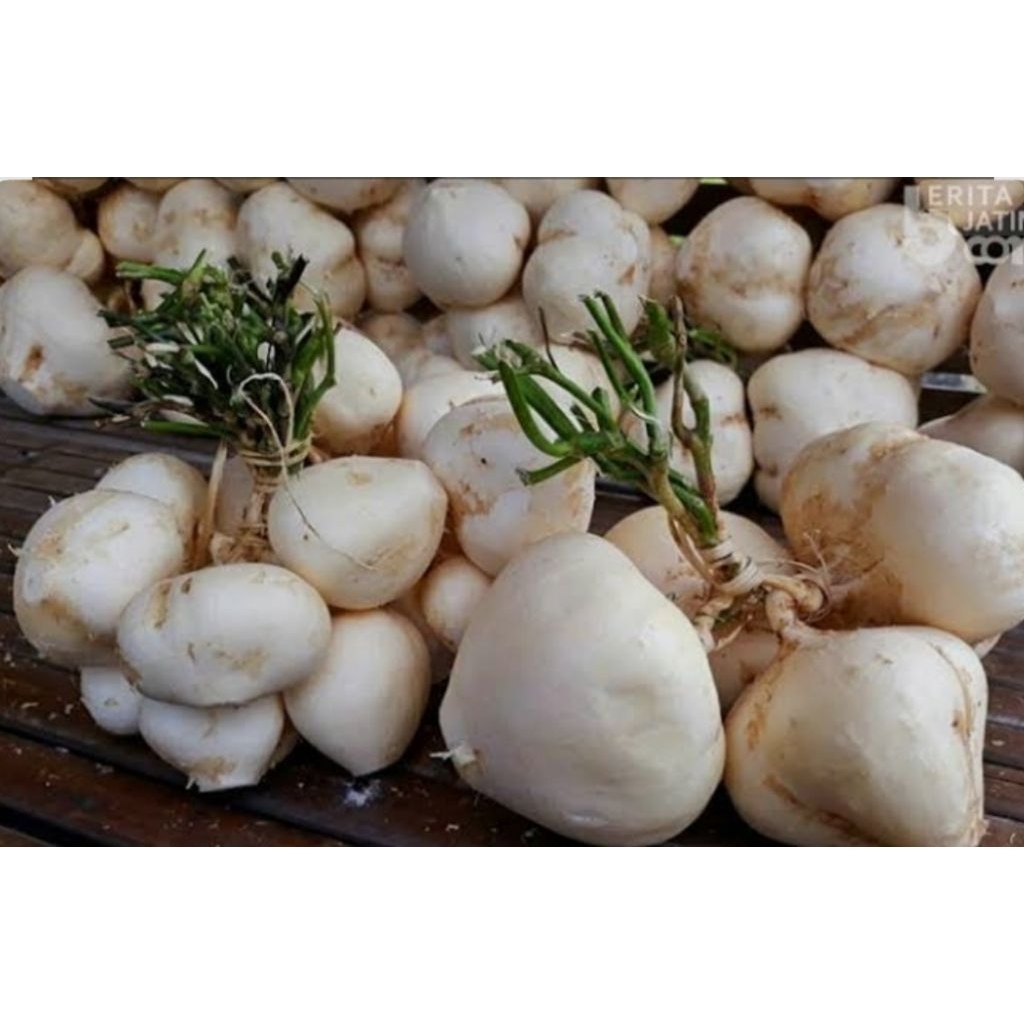 

bengkuang susu manis