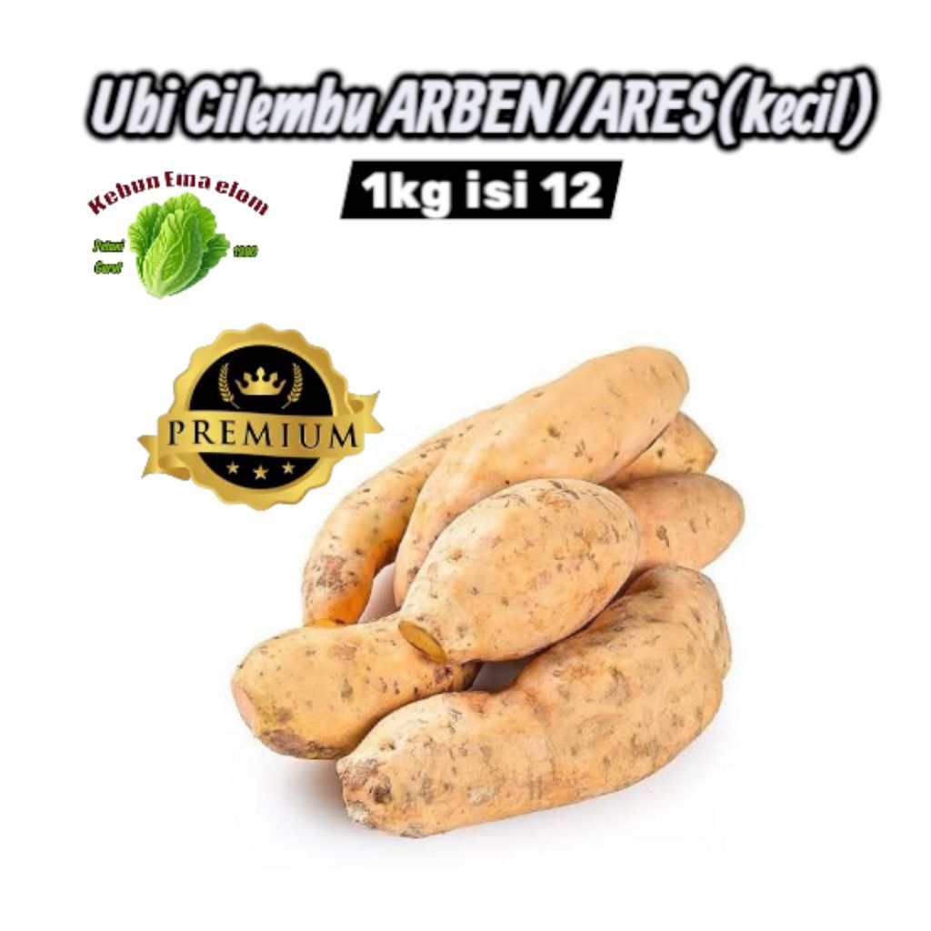

ubi madu Cilembu mentah ARBEN/ARES (kecil) paket 1.5