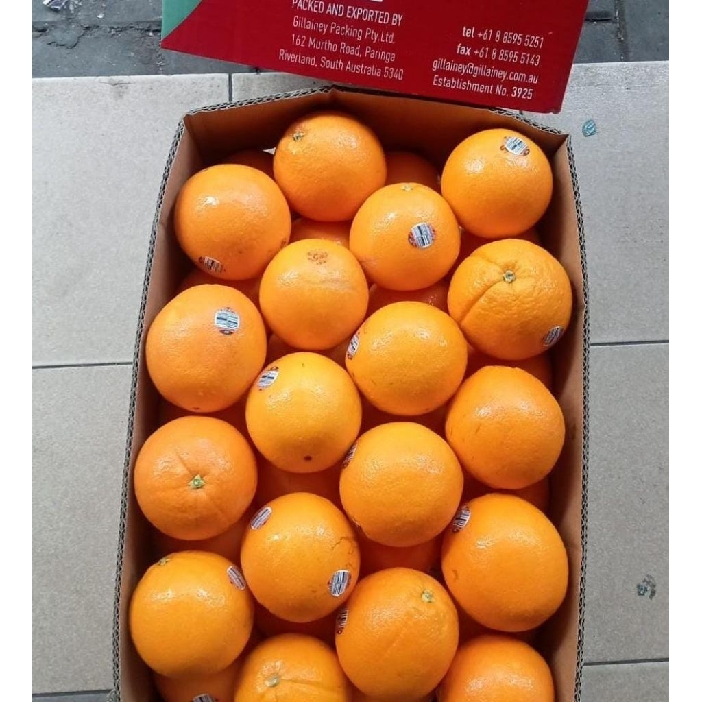 Indukbuah Buah Jeruk Sunkist Navel Australia Manis 1 Dus