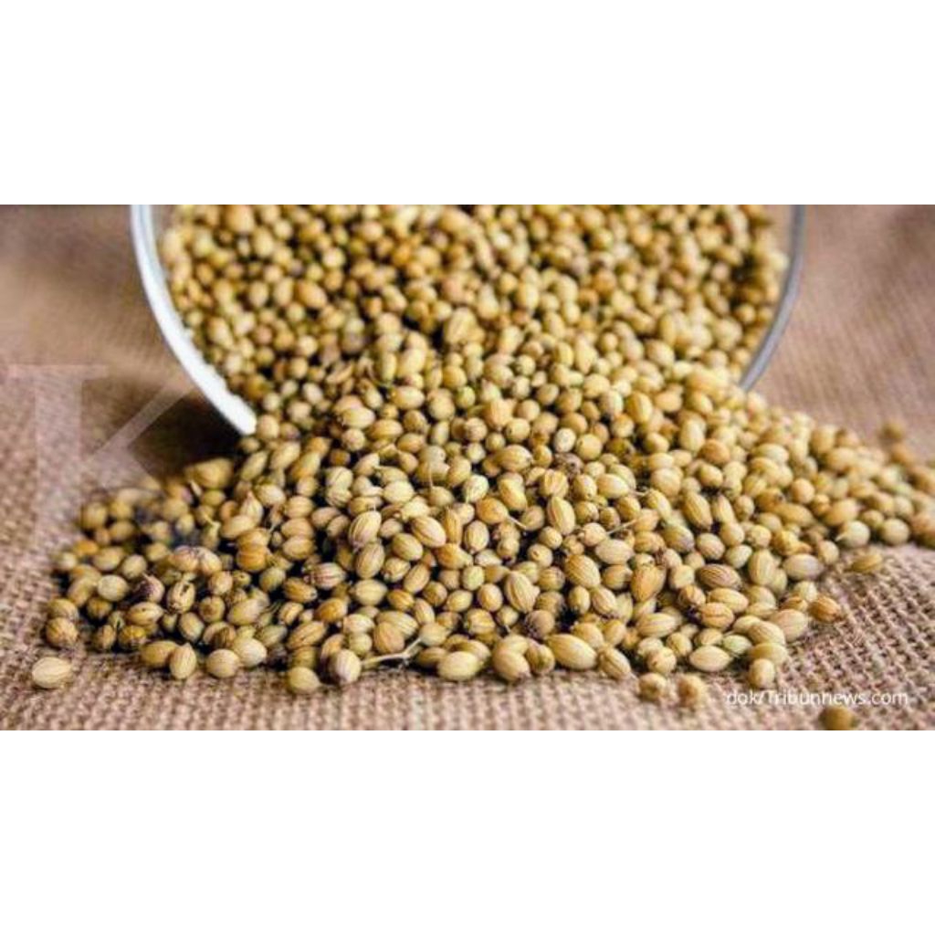 

ketumbar berkualitas termurah