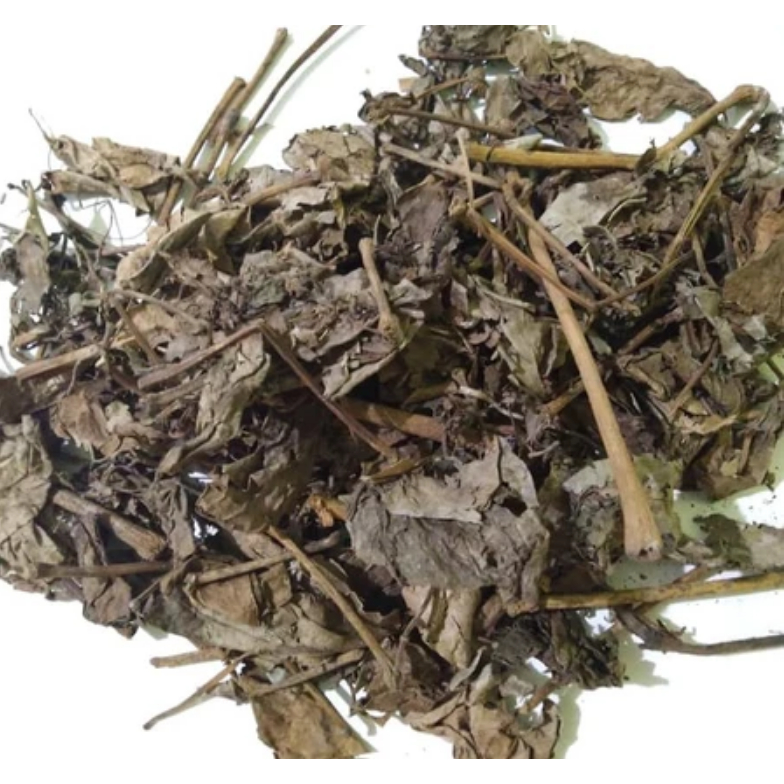 

500 Gram Daun Sirih Kering / 250 Gram Daun Seureuh Hijau Kering Alami Natural Dried Betel Leaves