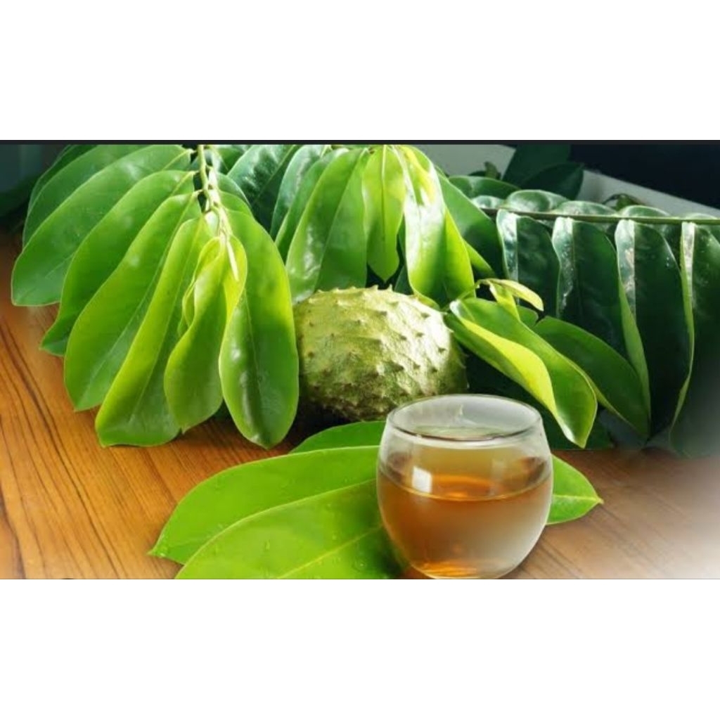 

DAUN SIRSAK , DIPETIK SAAT DIPESAN ,