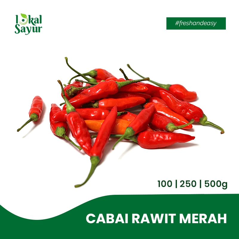 

Lokal Sayur - Cabai Rawit Segar Pilihan Kualitas Terbaik