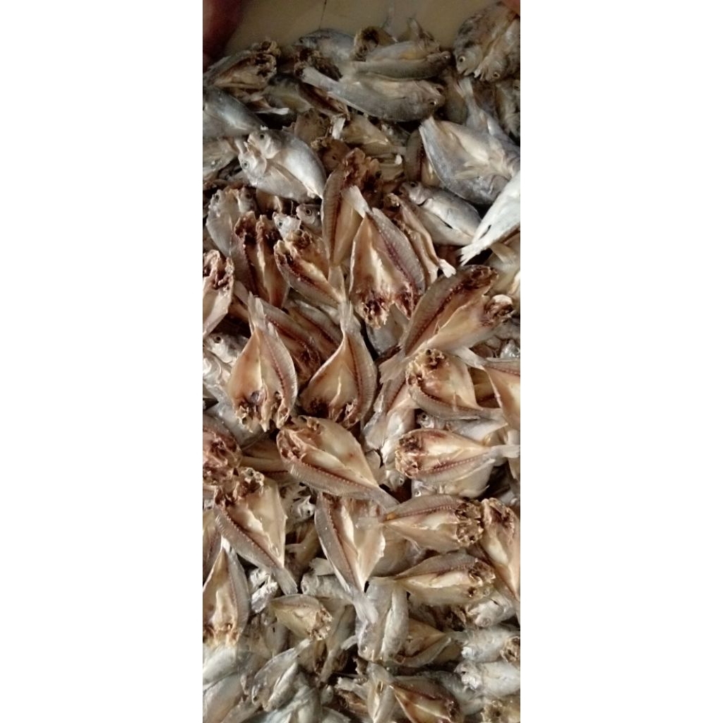 

ikan asin kepala batu (sisik) 200 gram