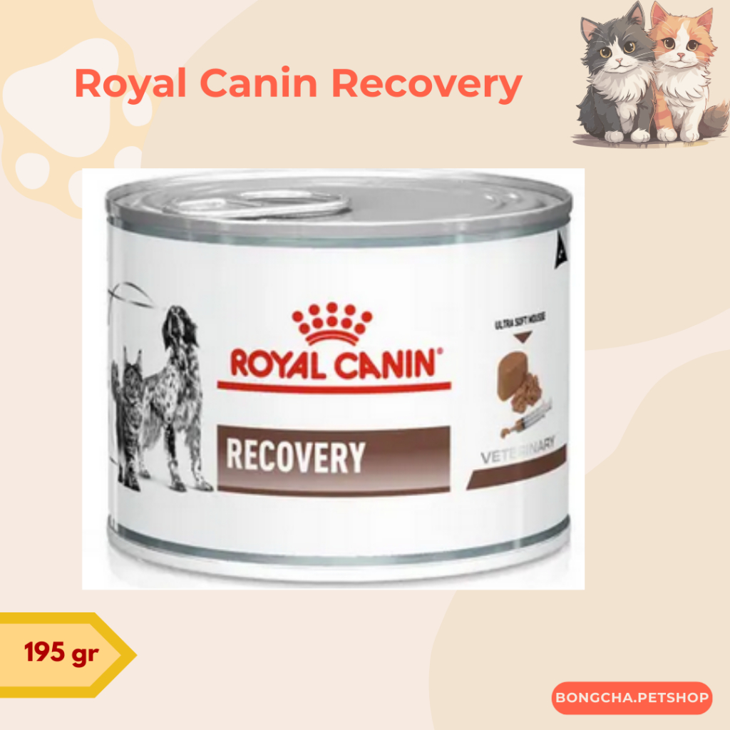 [READY] ROYAL CANIN Recovery 195gr Veterinary / Royal Canin Recovery