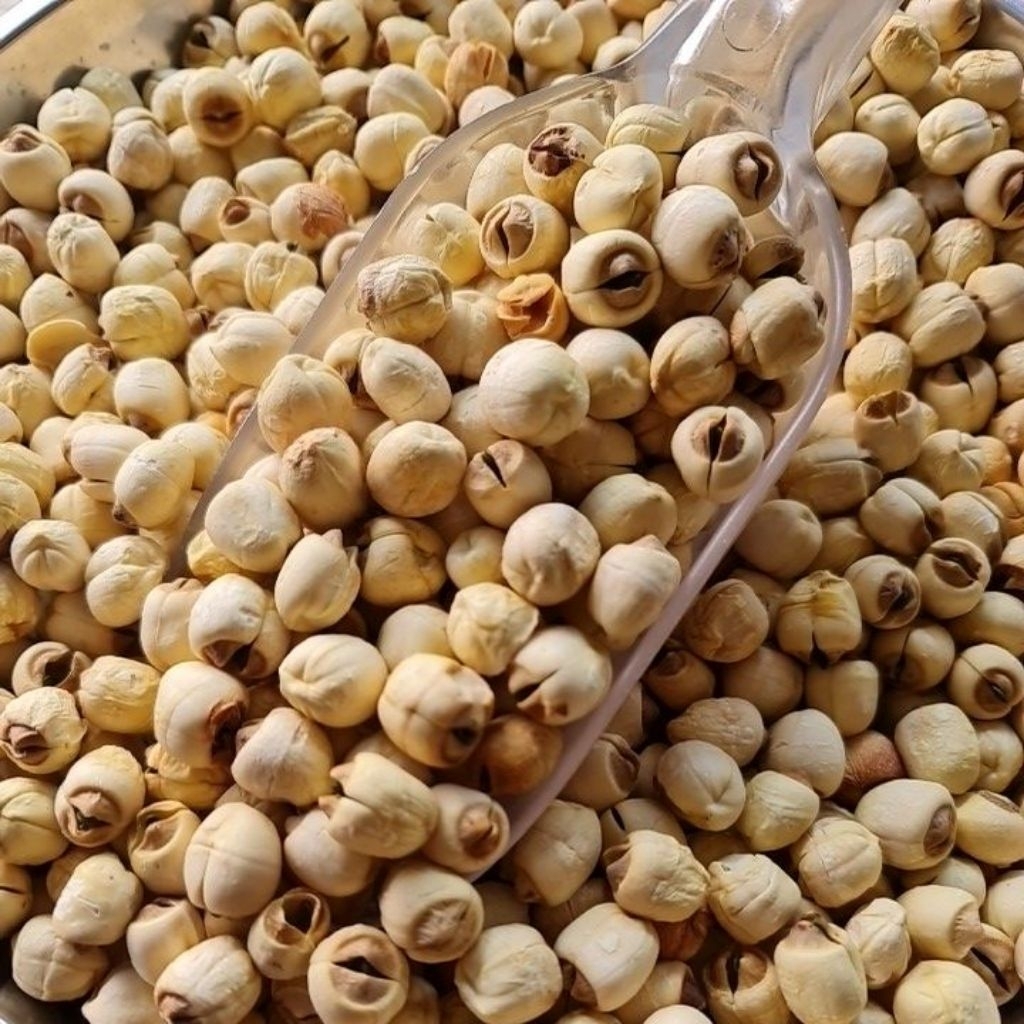 

Biji Teratai Lotus / Biji Lotus Teratai / Lotus Seed / Nai Ci