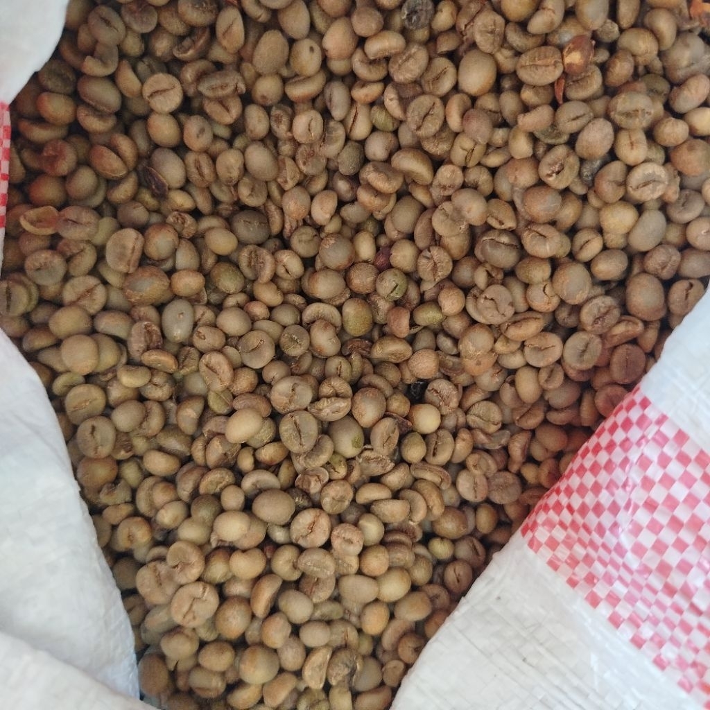 

kopi rabusta gucialit lumajang 250gr, 500gr, 1kg
