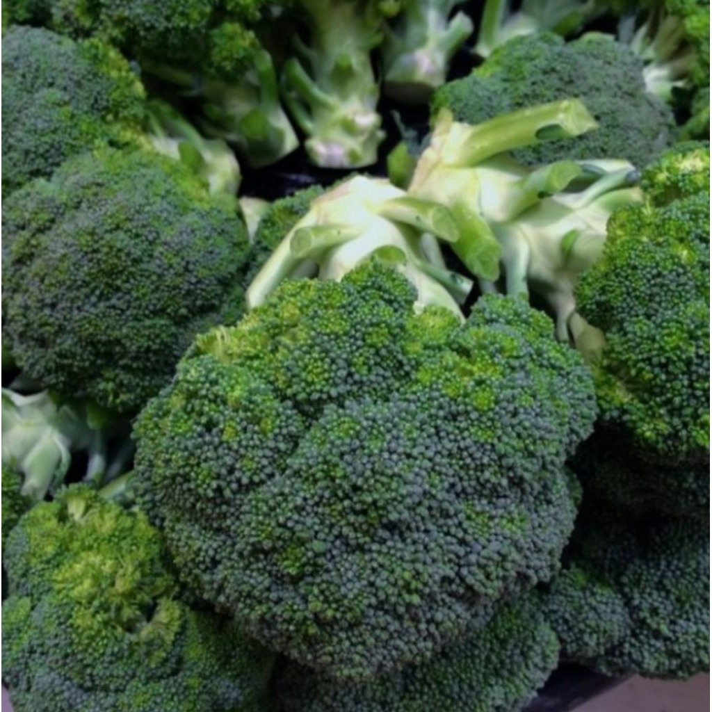 

brokoli hijau segar -+600 gram bppn