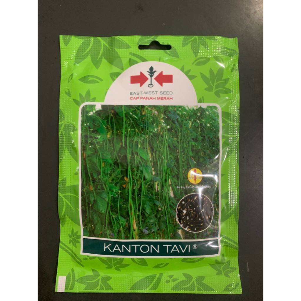 

1 paket kacang panjang kanton tavi isi 10pcs