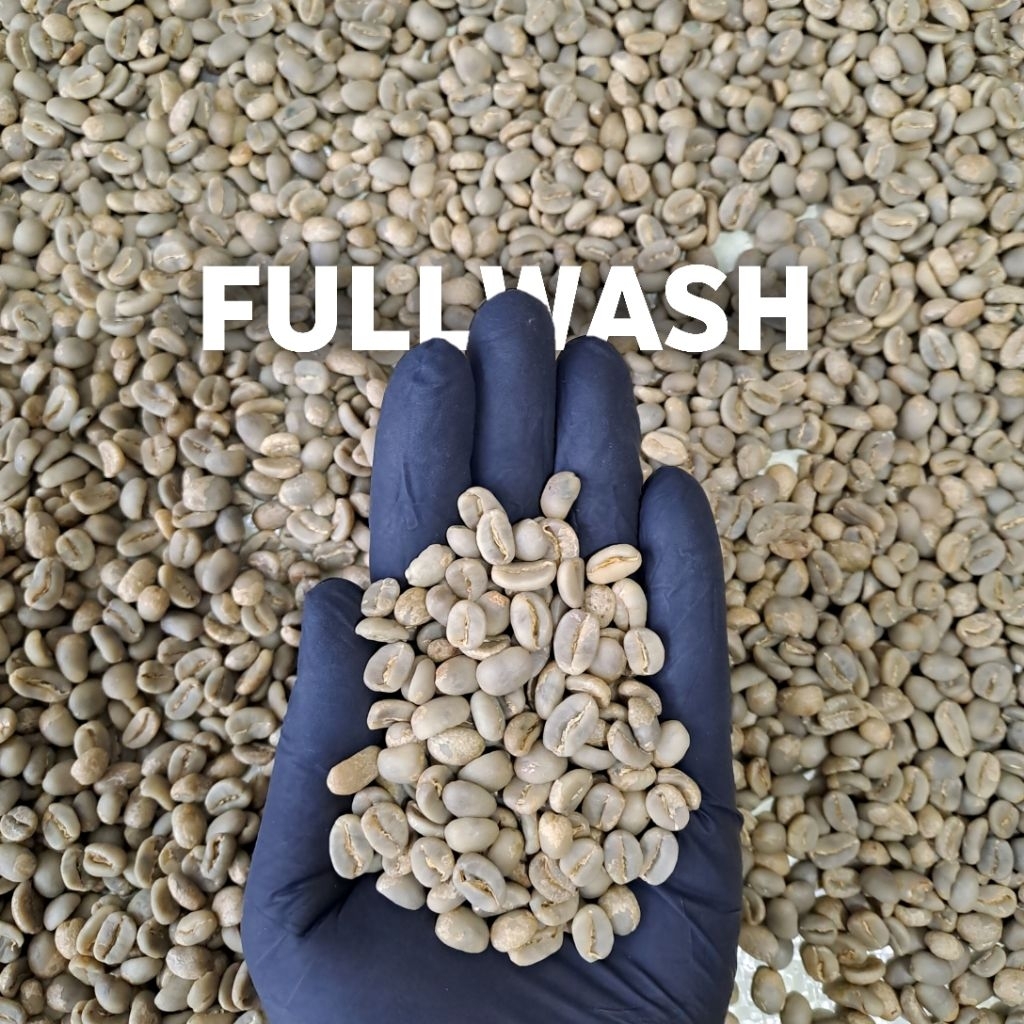 

Green Bean Arabica Gayo Fullwash G1 | Yong Coffee