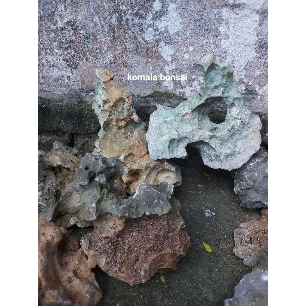 BATU KARANG BONSAI AKUARIUM