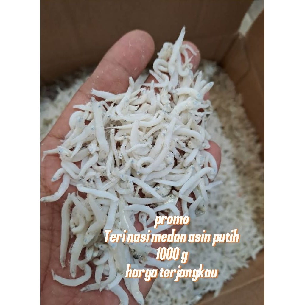 

Teri nasi medan putih 1000g TERMURAH DISINI ✅✅