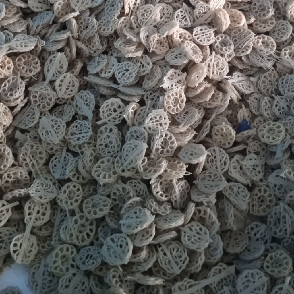 

KERUPUK BABANGI MENTAH