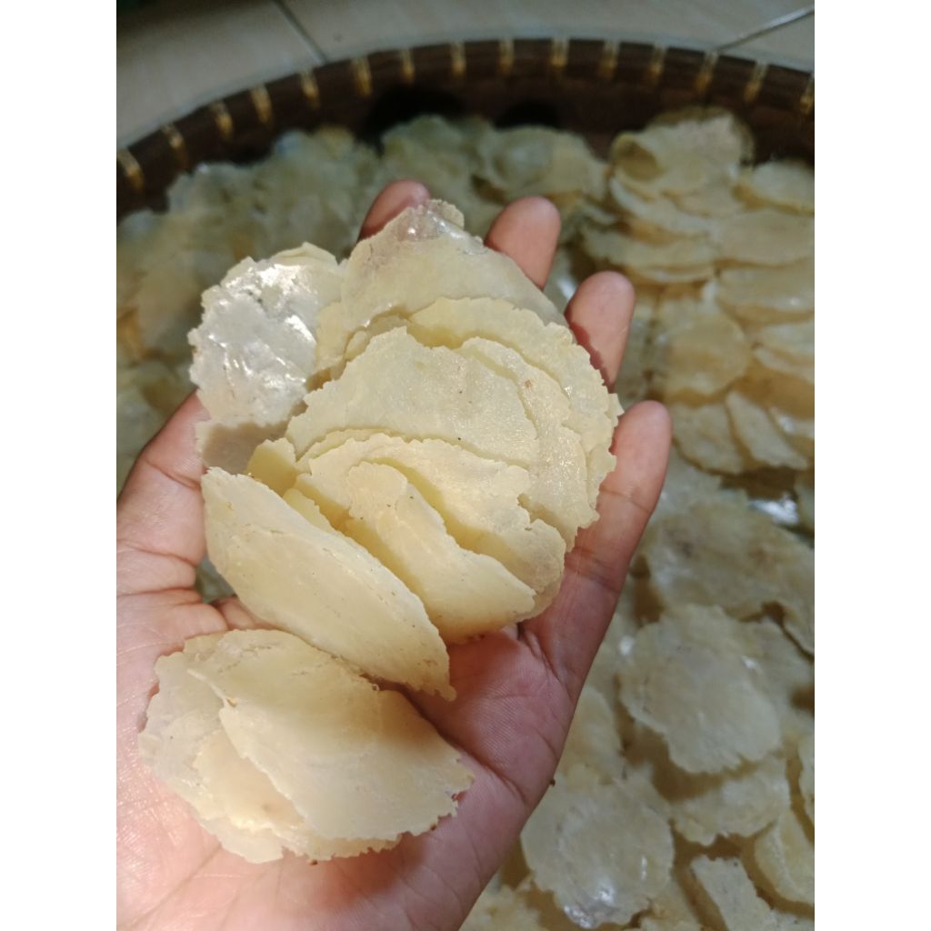 

EMPING MELINJO MENTAH KERING 500gr SIAP GORENG SNACK CRISPY