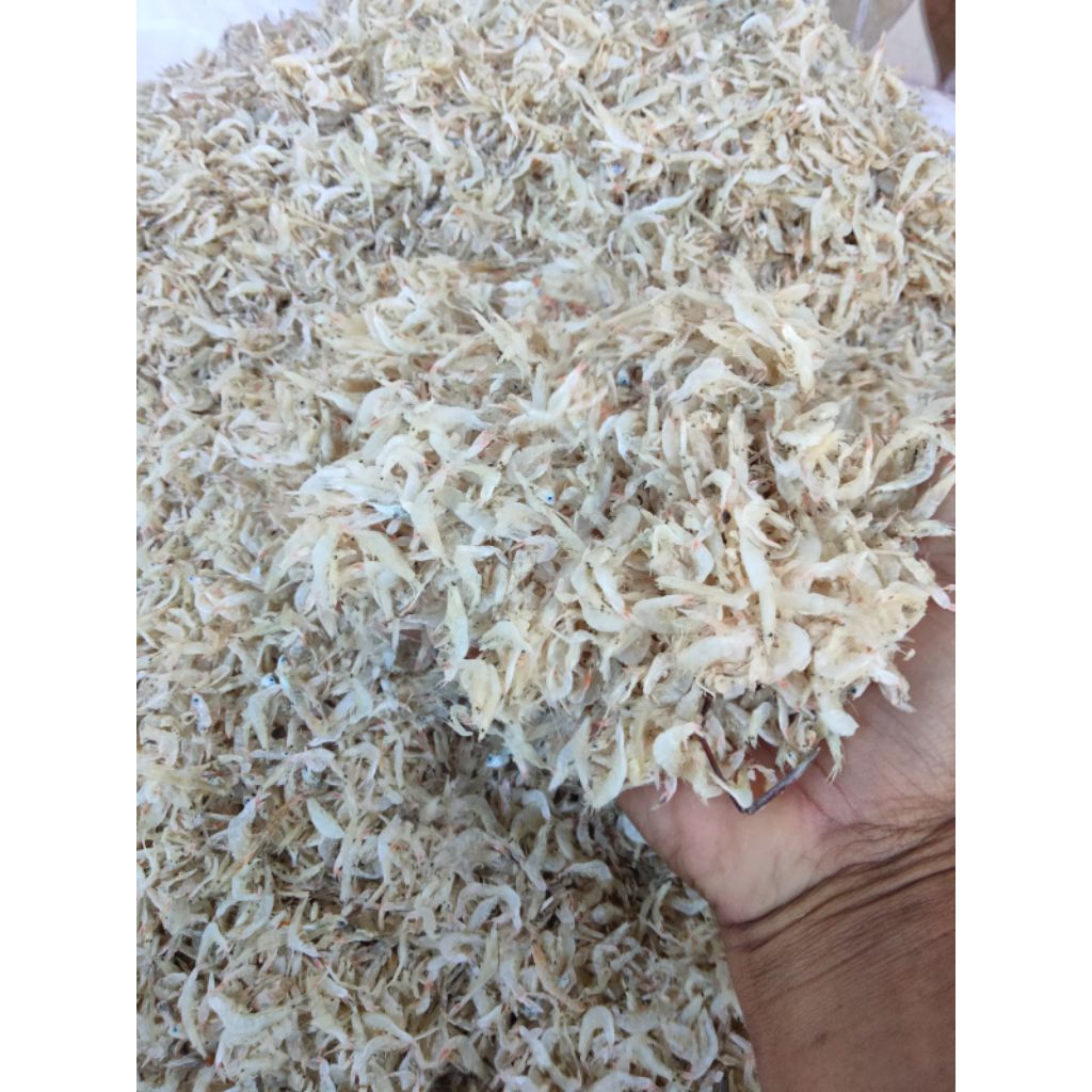 

udang rebon kering