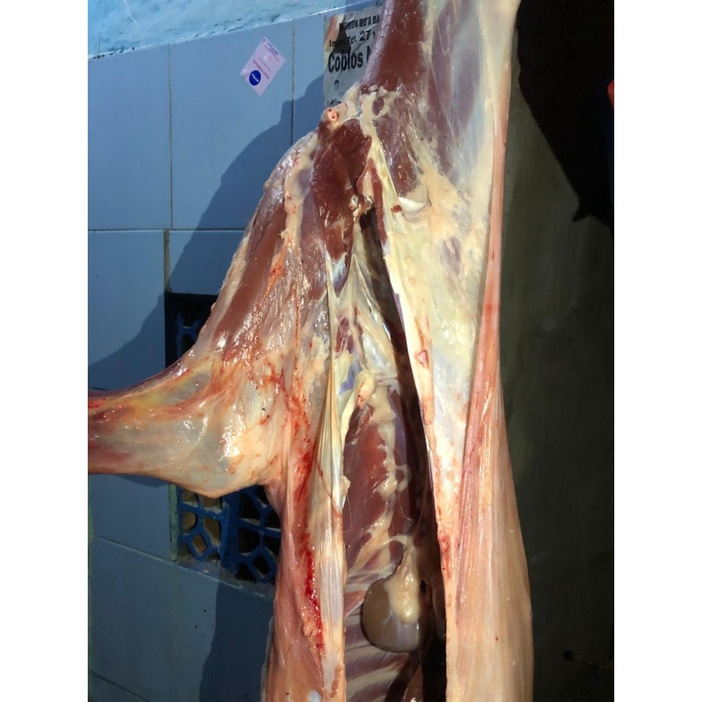 

daging kambing murni tanpa tulang