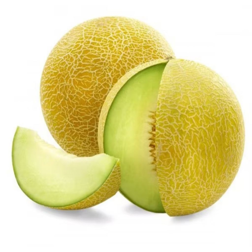 

Buah melon segar 1 buah..