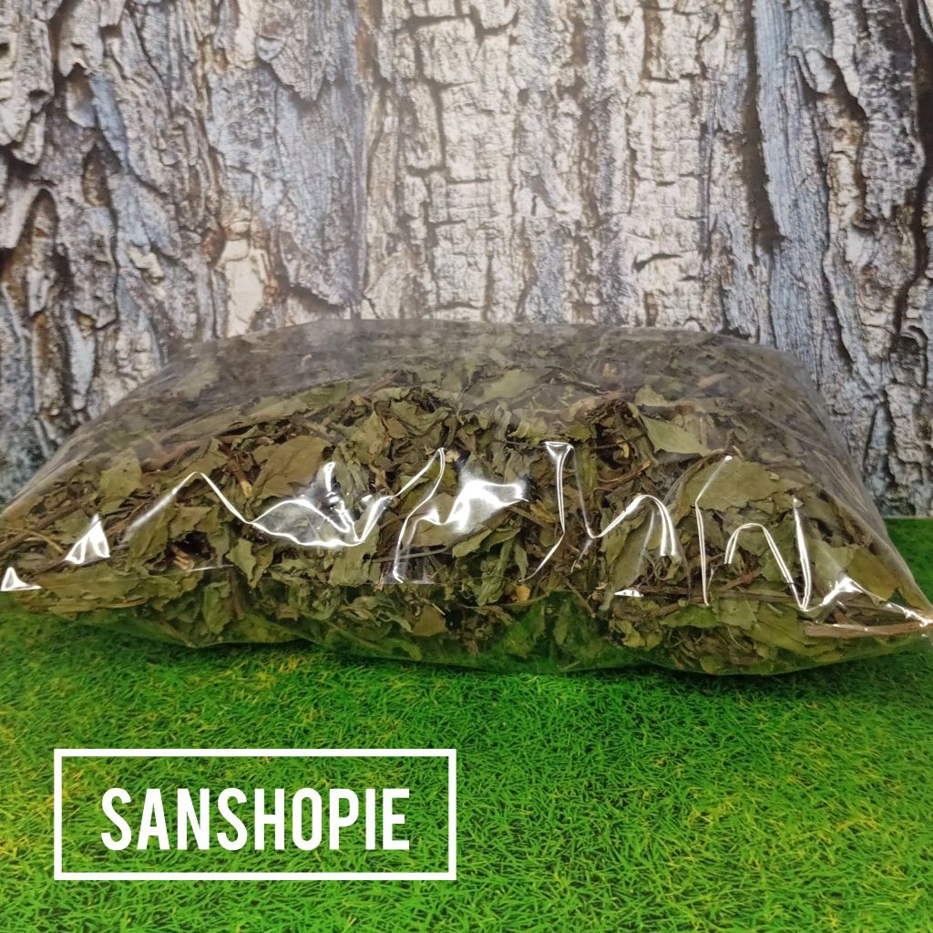 

Jual daun kumis kucing kering 100 gram