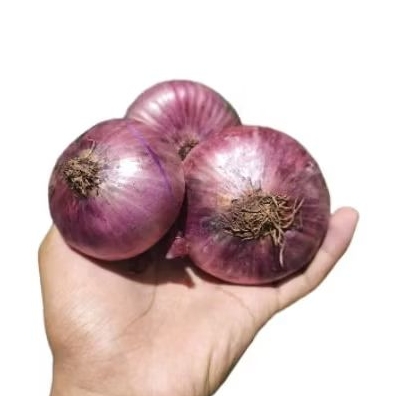 

Bombay merah super high Quality 1 kg