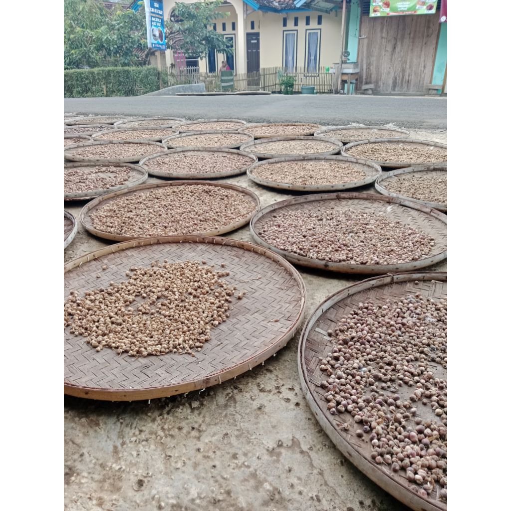 

Kapulaga kering/100 gr