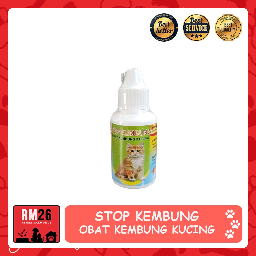 STOP KEMBUNG Obat Kembung untuk Kucing