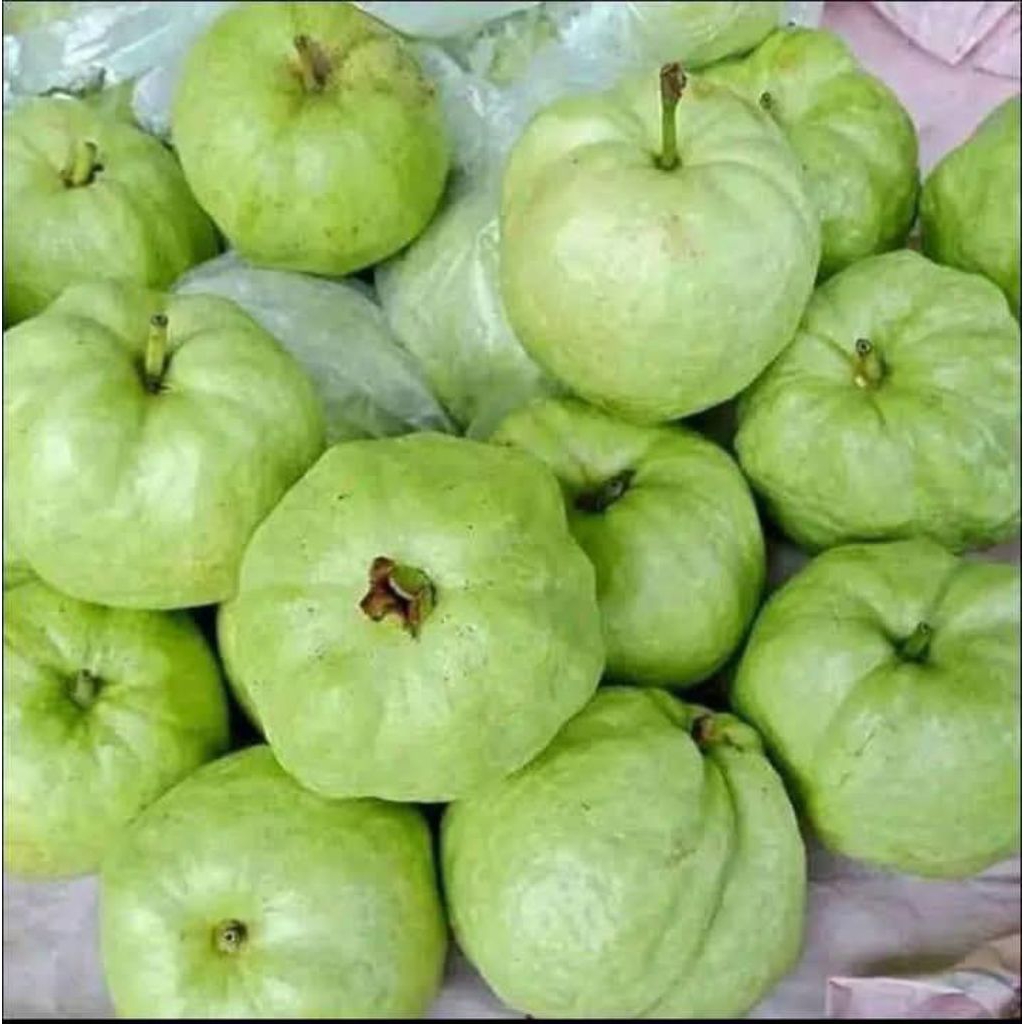 

(1 Kg) Jambu Kristal kriyuk renyah enak tanpa biji