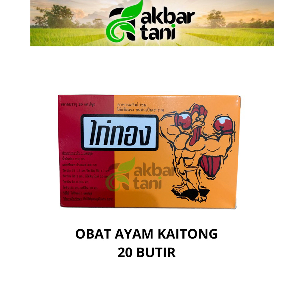 KAITONG thailand obat ayam aduan isi 20 butir jamu ayam jago kaitong