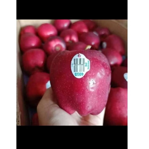 

apel merah Washington