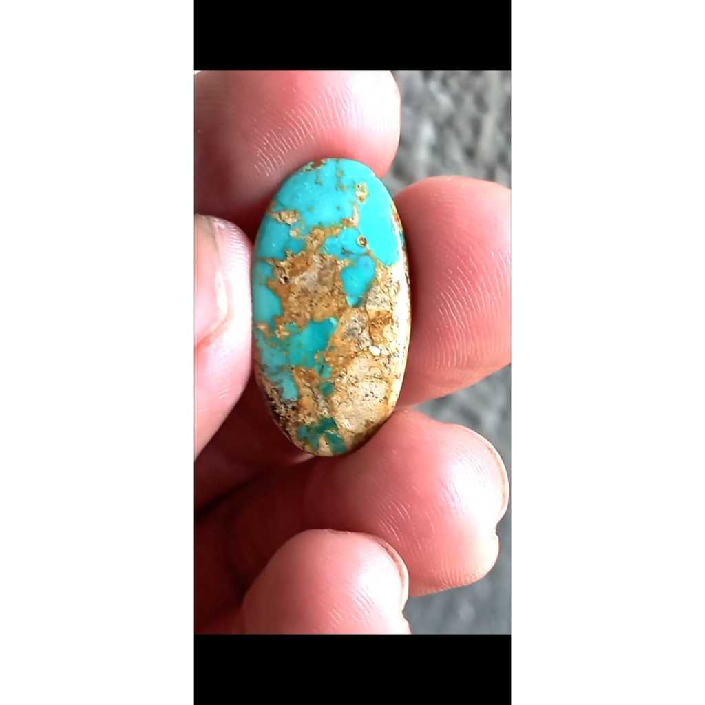 Pirus Persia Urat Emas