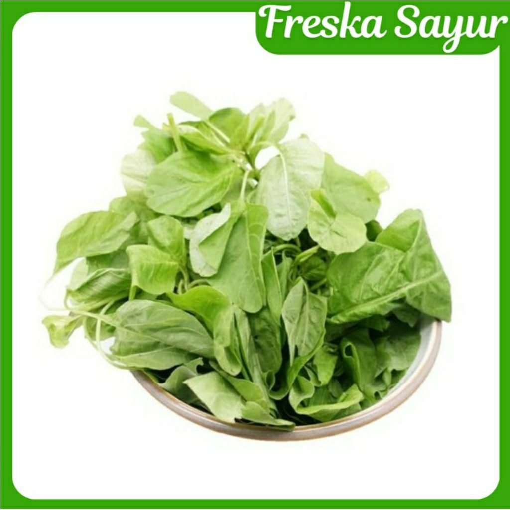 

Paket Siap Masak | Bayam Petik 1 Pack