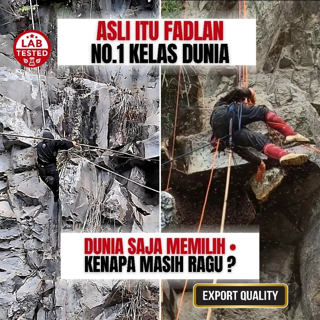 

Madu Asli Hutan Murni 100% Multiflora Kelas Dunia