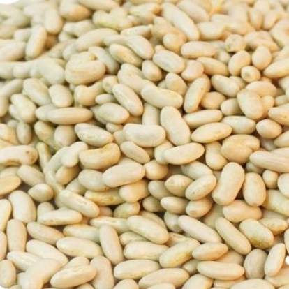 

Kacang Fasulya Putih – Kacang Putih Premium Siap Olah, Tinggi Nutrisi