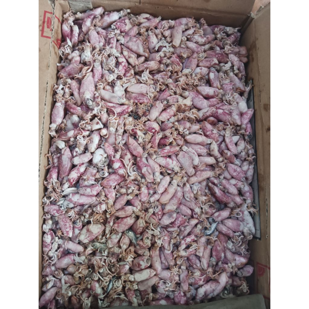 

Titik Frozen | Cumi Rebus Asin 500gr