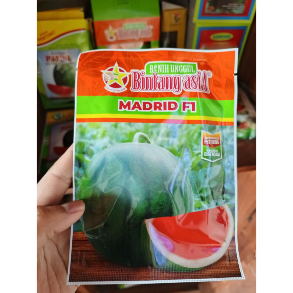 Bibit Semangka Madrid F1 Bintang Asia