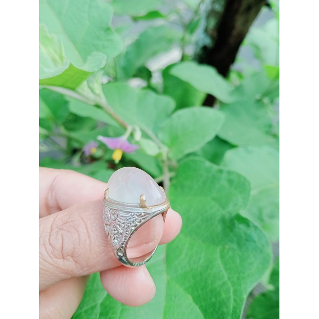 Batu pandan Cempaka Putih