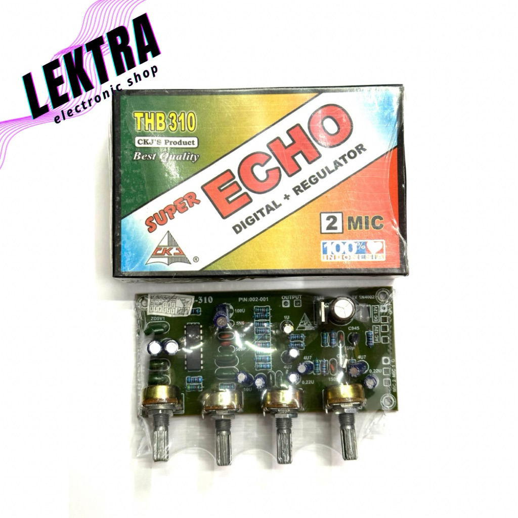 Kit THB 310 Super Echo Digital + Regulator 2 Mic CKJ 2Mic