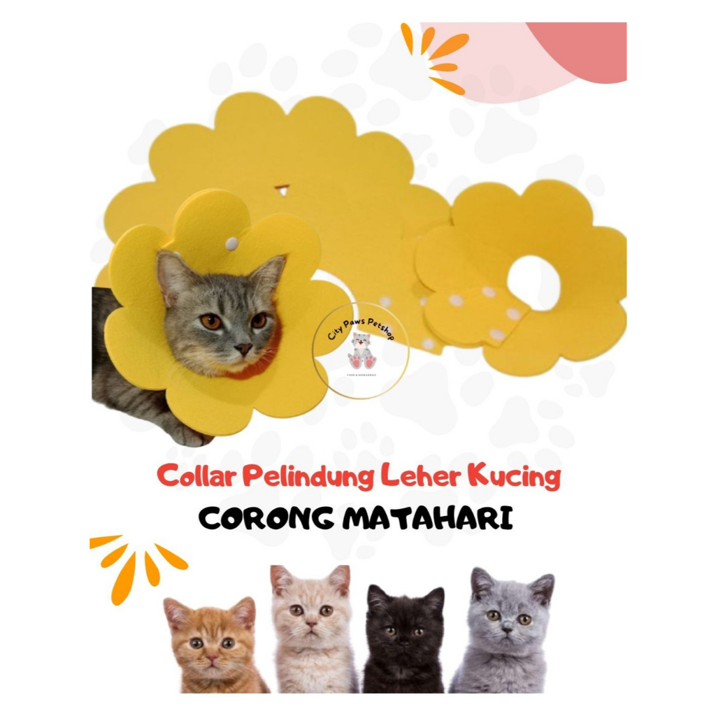 Corong Pelindung Leher Kucing / Collar Pelindung Leher Kucing