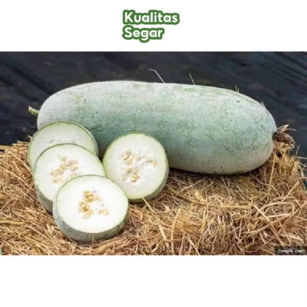 

buah bligo/kundur segar baru petik berat 2-2,4 kg