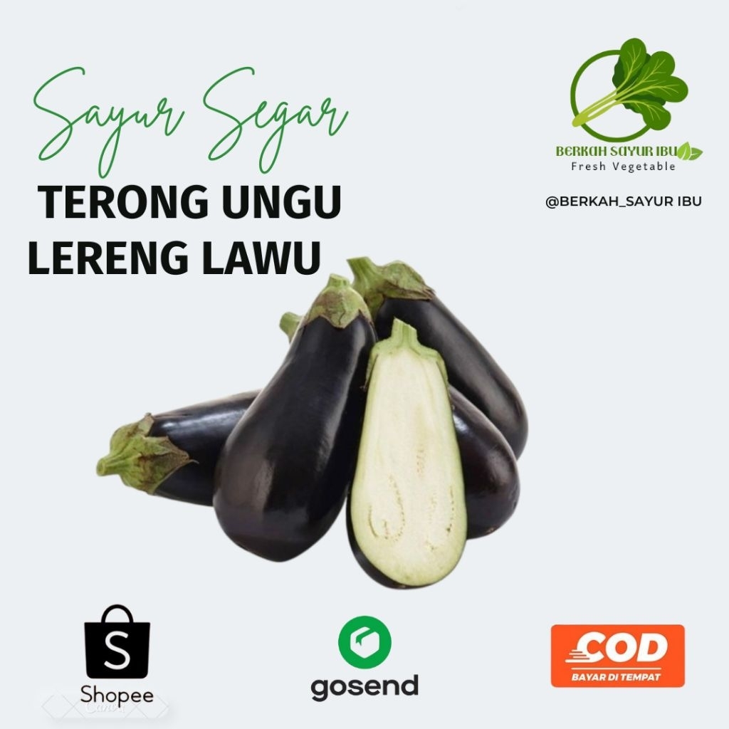 

BERKAH_SAYURIBU- TERONG UNGU 1KG